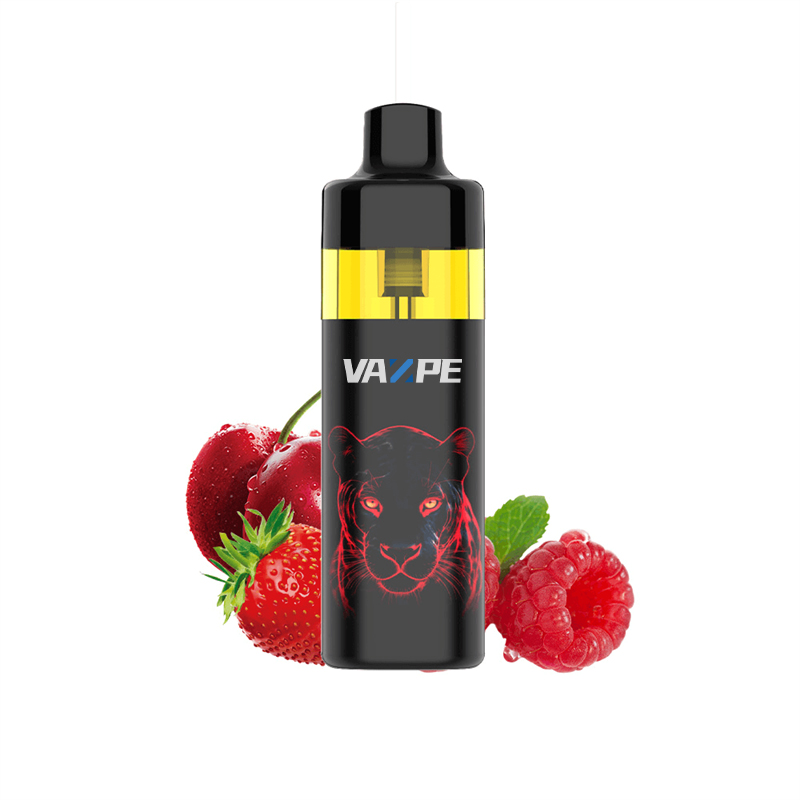 Vazpe ECOM 12K Main